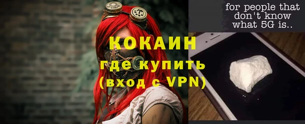 мет Алексин
