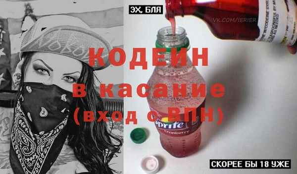 мет Алексин