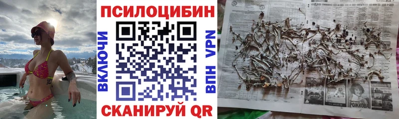 Галлюциногенные грибы Magic Shrooms  хочу   Энгельс 